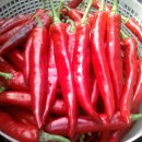 무영농장 이미지