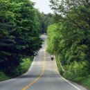 대청호반 이미지