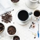 월드태권도 유소년스포츠클럽 이미지