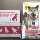 퍼펙트바이트 이미지