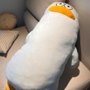하귀하나로약국 | [임신 22주-25주] 임산부 잦은 배뭉침 조심하세요(경부 짧아짐, 대학병원 전원, 후기입덧 시작)