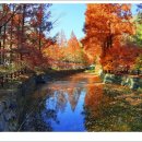 지리산IC주유소 이미지