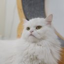 반짝반짝