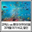 31140-9-31-20 | 코엑스 아쿠아리움 롯데 아쿠아리움 비교, 31개월 아기와 다녀온 후기 및 할인팁