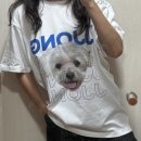 도  장 | (내돈내산) 강아지 티셔츠, 가방 한 장 도 제작 가능한 디자인사 솔직 후기