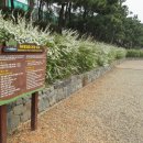 포대지입구 이미지