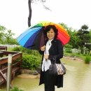 언덕위에하얀집 이미지