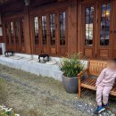 어린이 독서퀴즈(1월) | 무료 힐링 스팟! 서울 우리소리박물관 (예약, 주차, 무료, 활동지, 꿀팁, 8세 5세 솔직 후기, 근처 맛집)