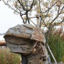 포니랜드 이미지