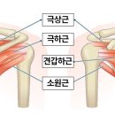 필라테스치유 - 관악구 남부순환로 1617 | 필라테스치유