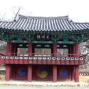 회연 Daum카페