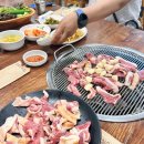 싱싱오리 이미지