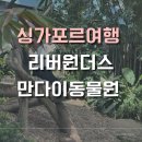 소나기성인용품 | 싱가포르 여행, 만다이 동물원<리버원더스>후기