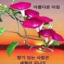 아름다운 아침 이미지