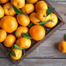 한농상회 이미지