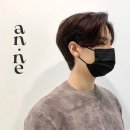 안느(anne)
