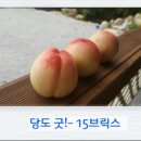 굿브릭스