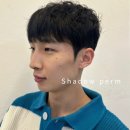 1016헤어