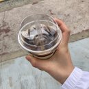 마산1로 느티나무길 이미지