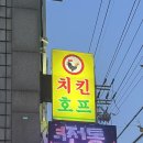 참피온양념치킨 이미지