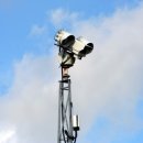 행정사 모든 이미지