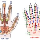 수지침(手指鍼)이란? 수지침은 한의학과 비슷한 방법론을 사용합니다. 이미지