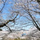 삼향천6 네이버블로그