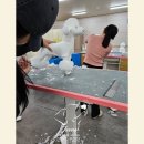 경북 지역에서 추천하는 반려동물 관련 자격증 과정! 포항애견미용학원!