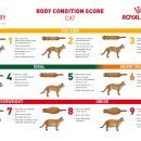 양양동물병원 이미지