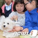 선암축산 이미지