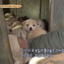 헐