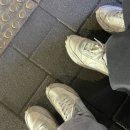 홍주신발 이미지