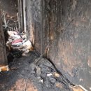 도봉-도봉-2468 이미지