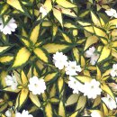 부여여자중학교 이미지