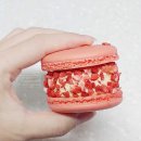 (주)리얼컨텍 이미지