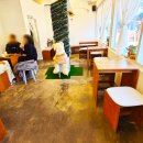 태양방앗간 이미지