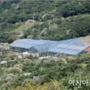 완도수목원 이미지