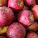 고씨네 농장 이미지