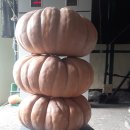 맷돌농장 이미지