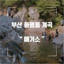 7월7일 부산 화명수목원 트레킹 이미지