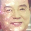 꼬꼬매니아