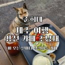 초낭재 | 제주 서귀포 표선 비 오는 날 카페 초낭재