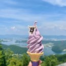 라라아이스크림 할인점 | 춘천 삼악산 케이블카 할인 최저가 라라랜드 아이스크림 안먹으면 서운