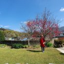 지리산길민박 이미지