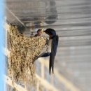 금마면 평촌마을회관 이미지