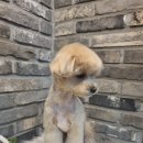 오도독뽀도독 이미지