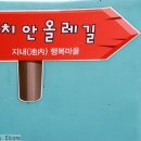 지내마을길 이미지