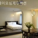 스테이모심 제주펜션 | [ 제주도 풀빌라 추천 ] 스테이모심제주펜션 오랜만에 제대로 힐링한 곳