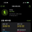 파랑새투어