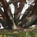 선원초등학교 이미지